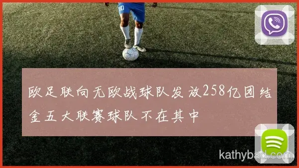 江苏队青训营再出天才少年 欧洲多家豪门球探现场考察